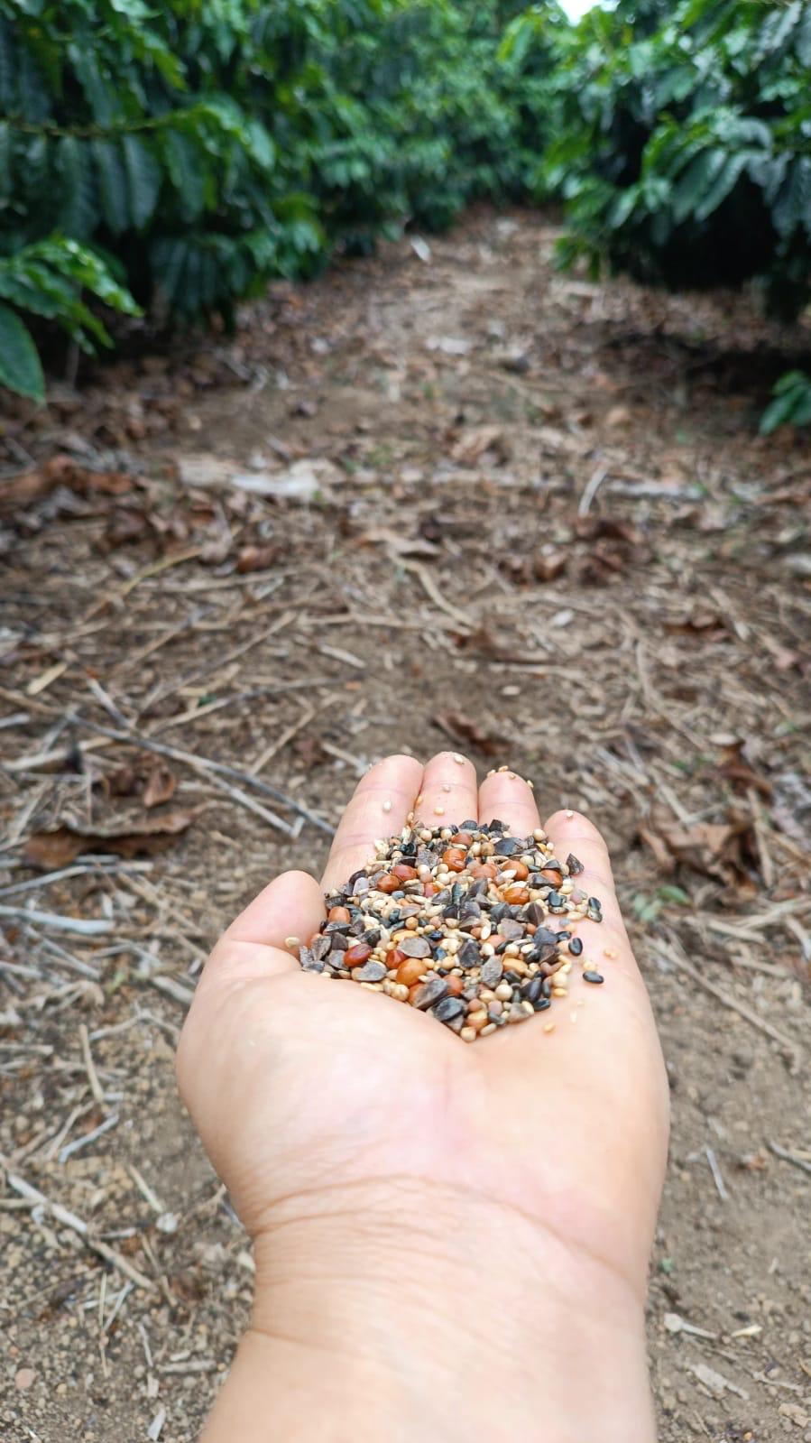 Coffee Shipping Logistics